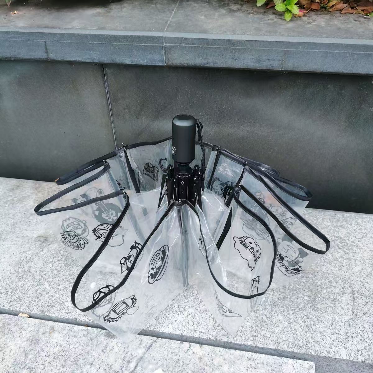 One Piece Luffy/Zoro Transparent Umbrella - Straw Hat Crew Design